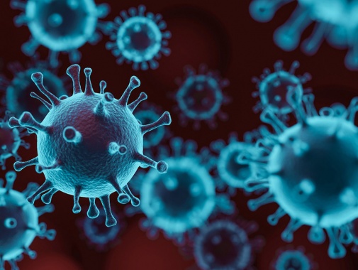 Obavijest sindikalnim povjerenicima, drugim radničkim predstavnicima i članovima sindikata